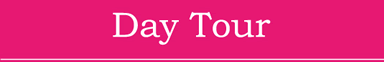 Day Tour