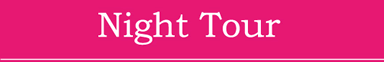 Night Tour